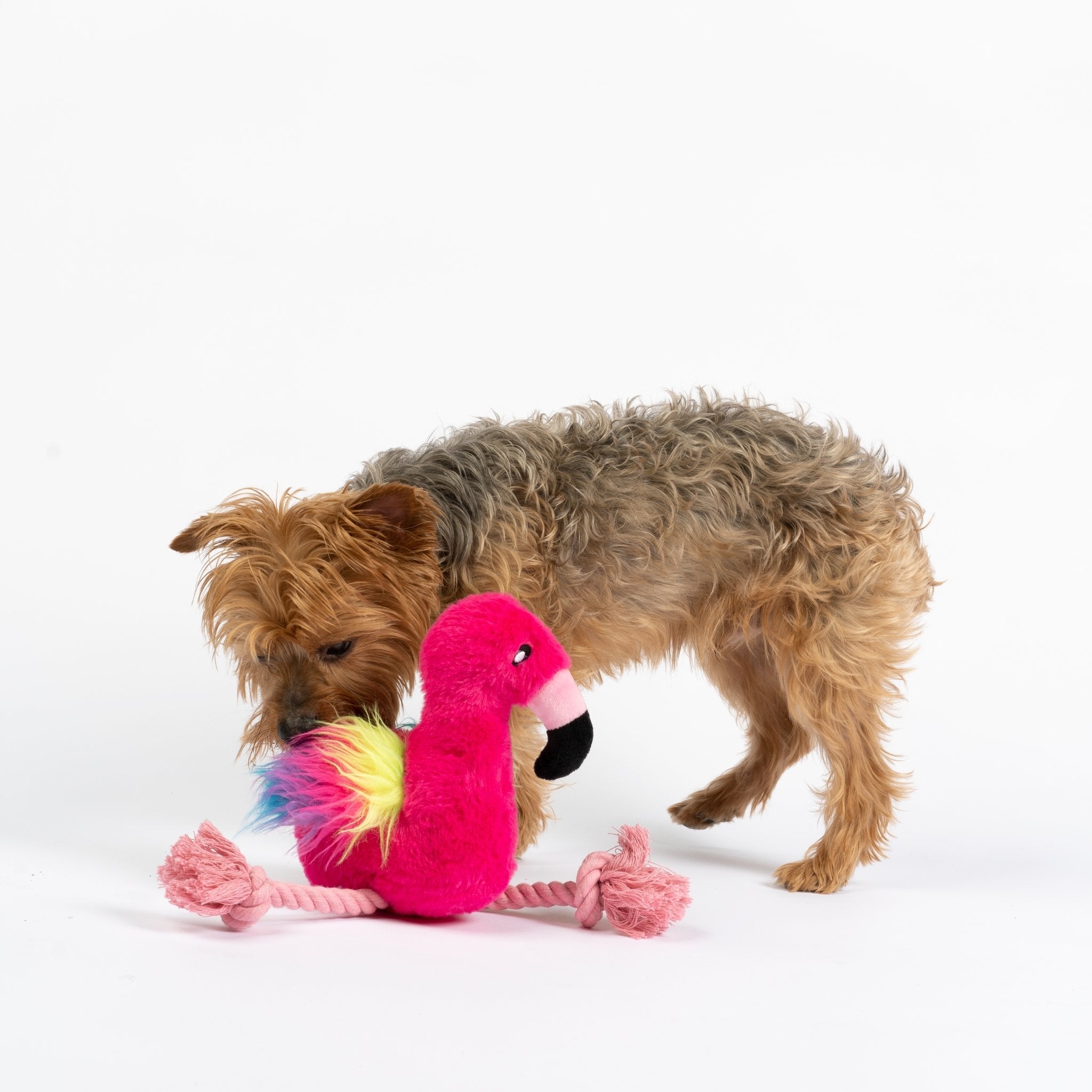 Flamingo Dog Toy - Silver Paw