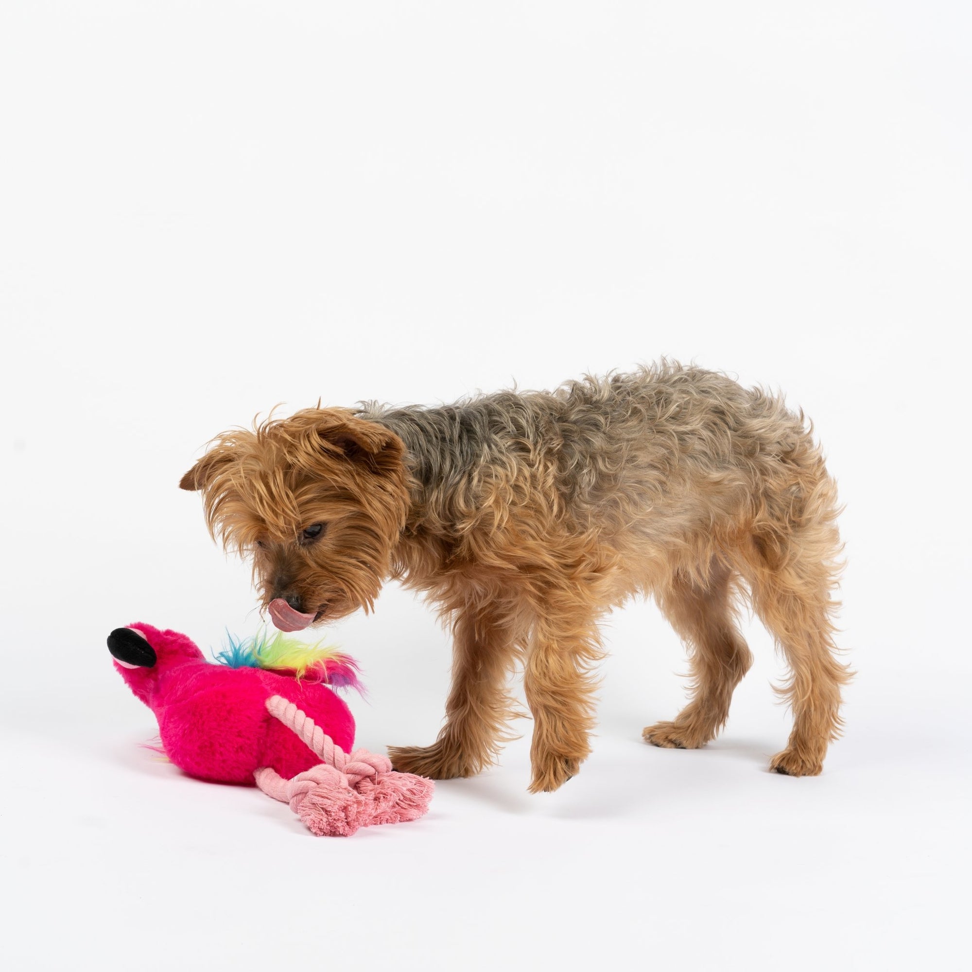 Flamingo Dog Toy - Silver Paw