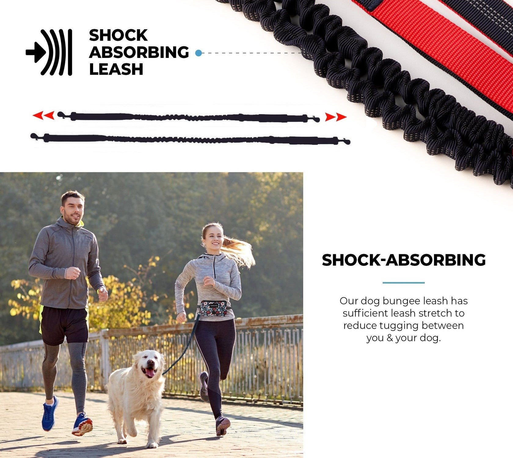 Floral Navy Hands Free Dog Leash - Silver Paw