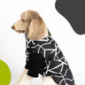 ✨ Fonda Dog Jacket – Neon Water-Resistant Jacket with Harness Attachment