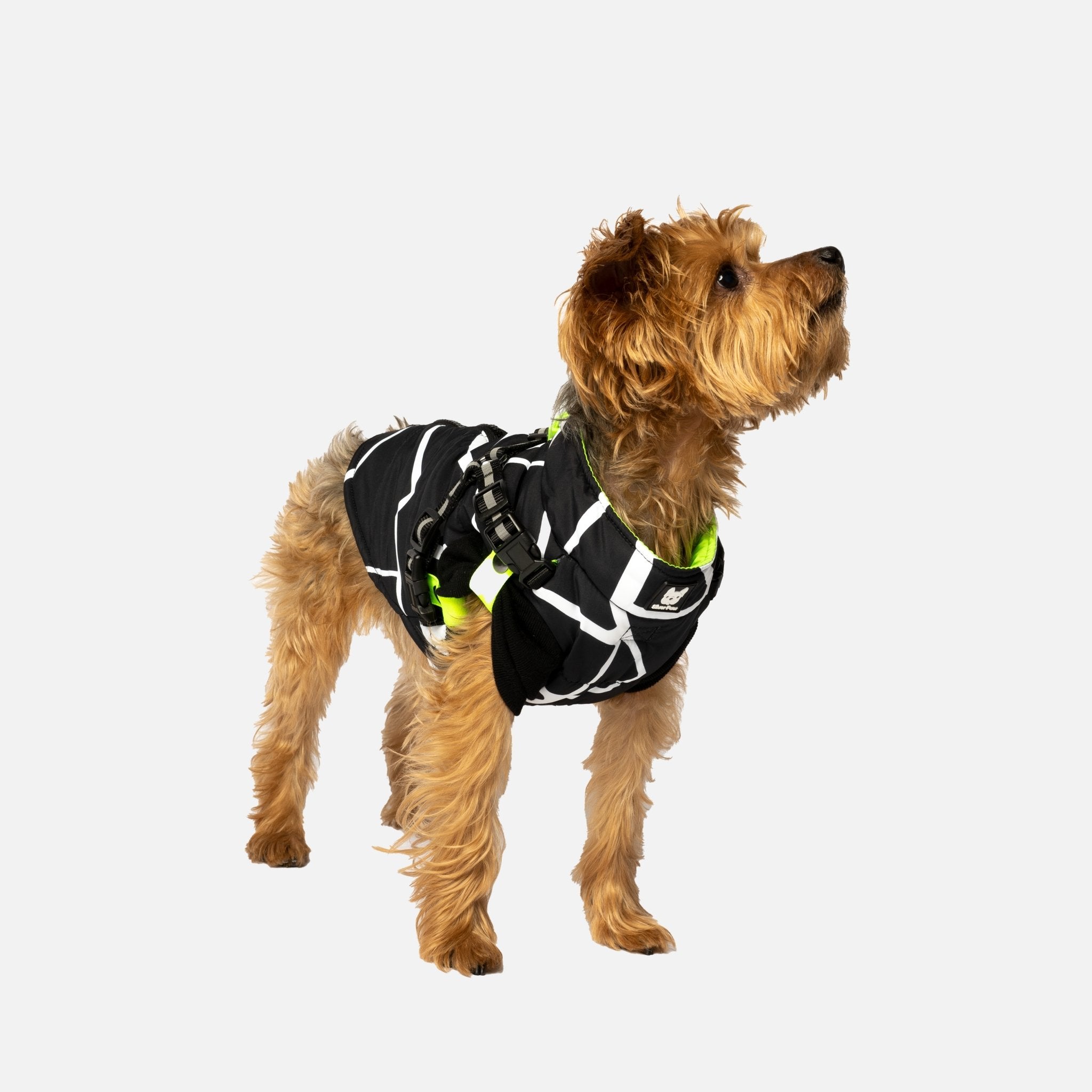 Fonda Dog Jacket - Silver Paw