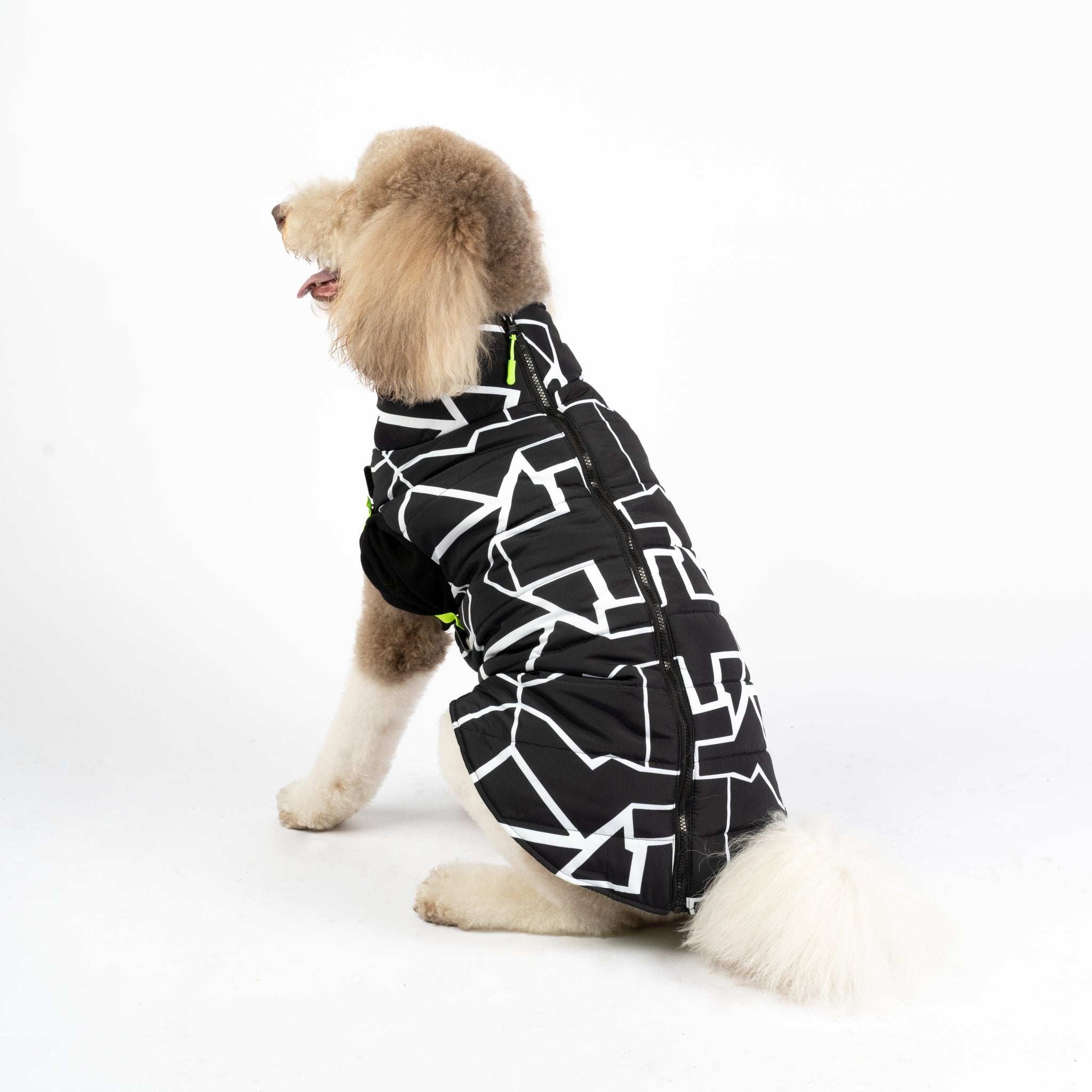 Fonda Dog Jacket - Silver Paw