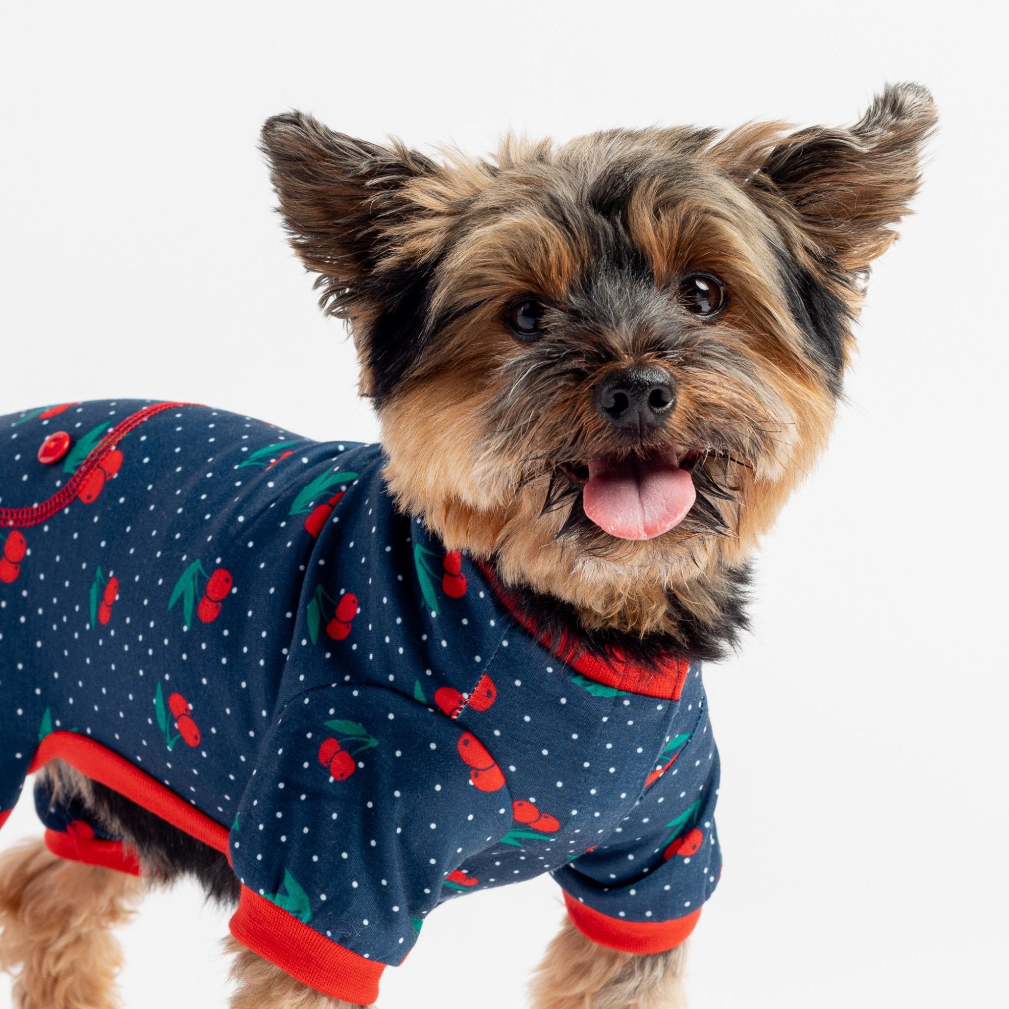 Fruit Dog Pajama - Cherry - Silver Paw