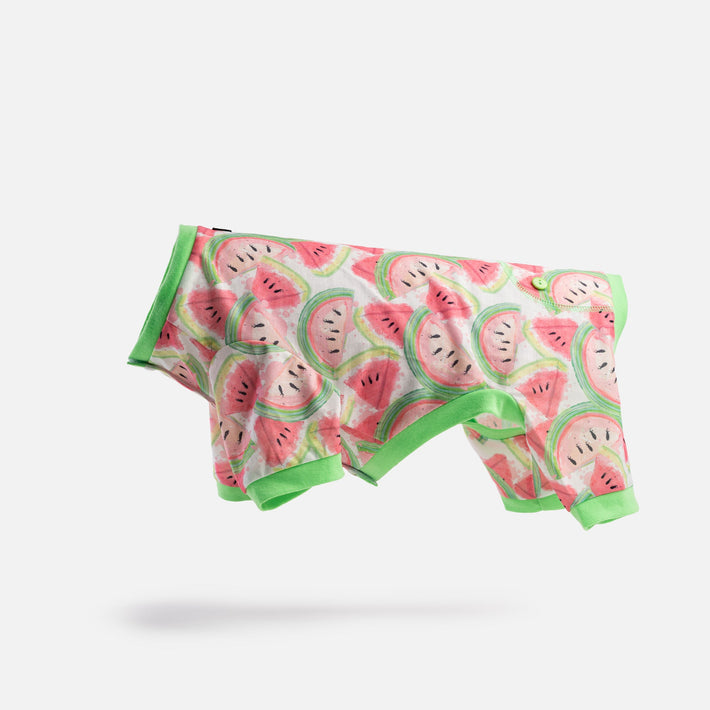 Fruit Dog Pajama - Watermelon - Silver Paw