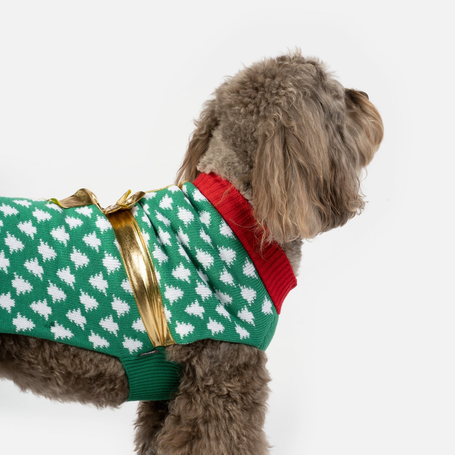 Gift Dog Sweater - Silver Paw