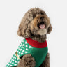 Pull pour chien cadeau