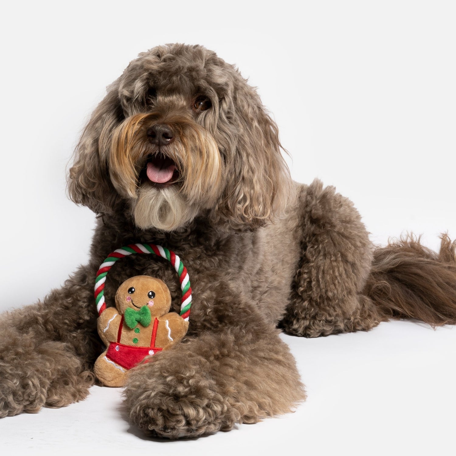 Ginger Bread Man Dog Toy - Silver Paw
