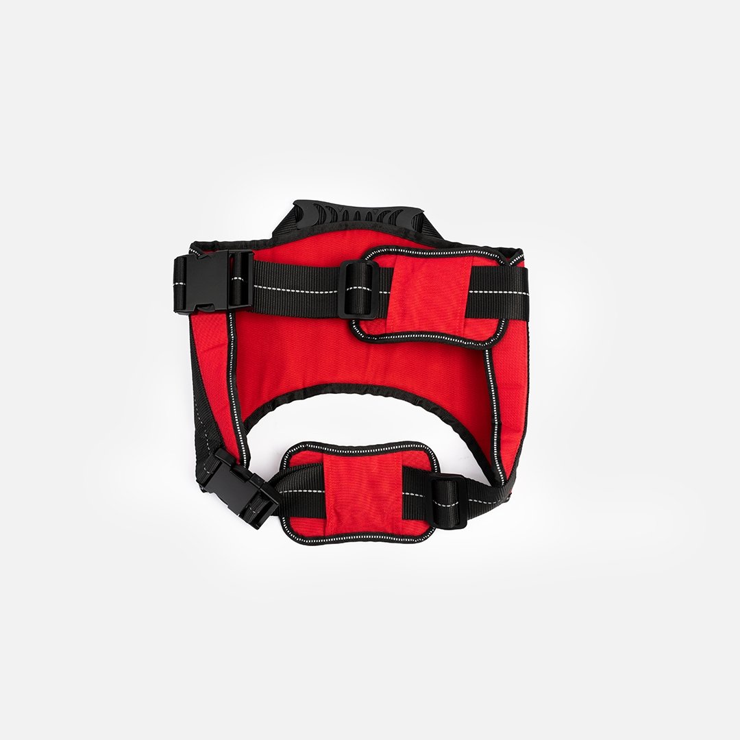 Heavy Duty Harness Red - Silver Paw