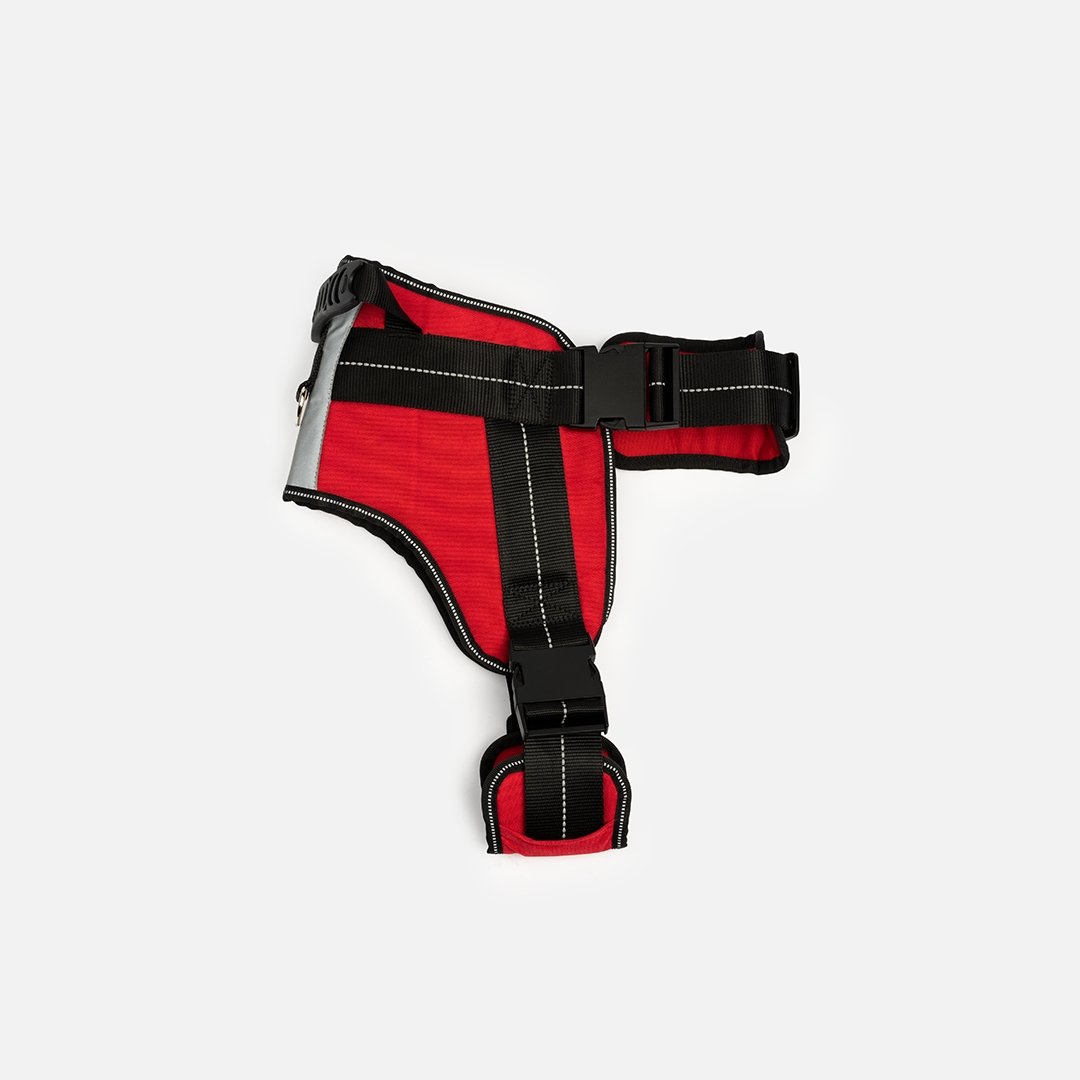 Heavy Duty Harness Red - Silver Paw