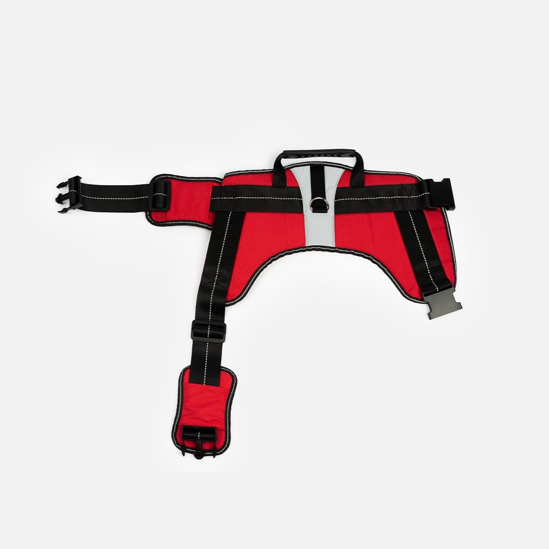 Heavy Duty Harness Red - Silver Paw