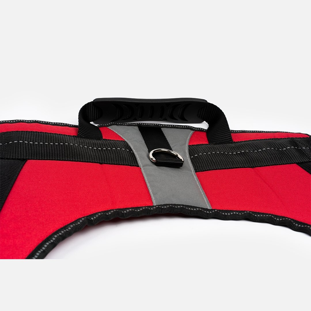 Heavy Duty Harness Red - Silver Paw