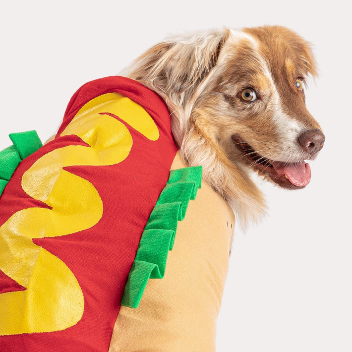 Hot Dog Costume - Silver Paw