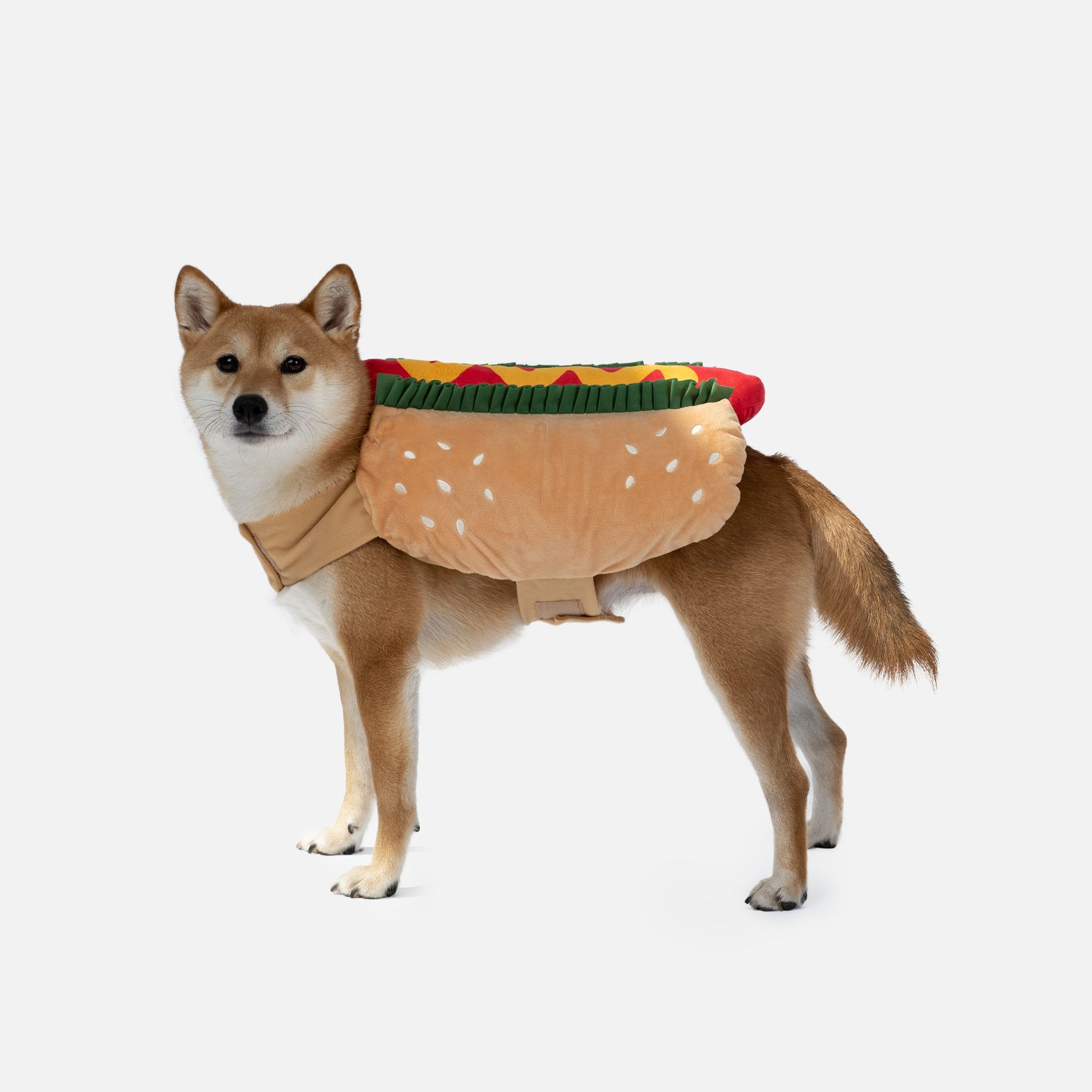 Hotdog Dog Costume - Silver Paw