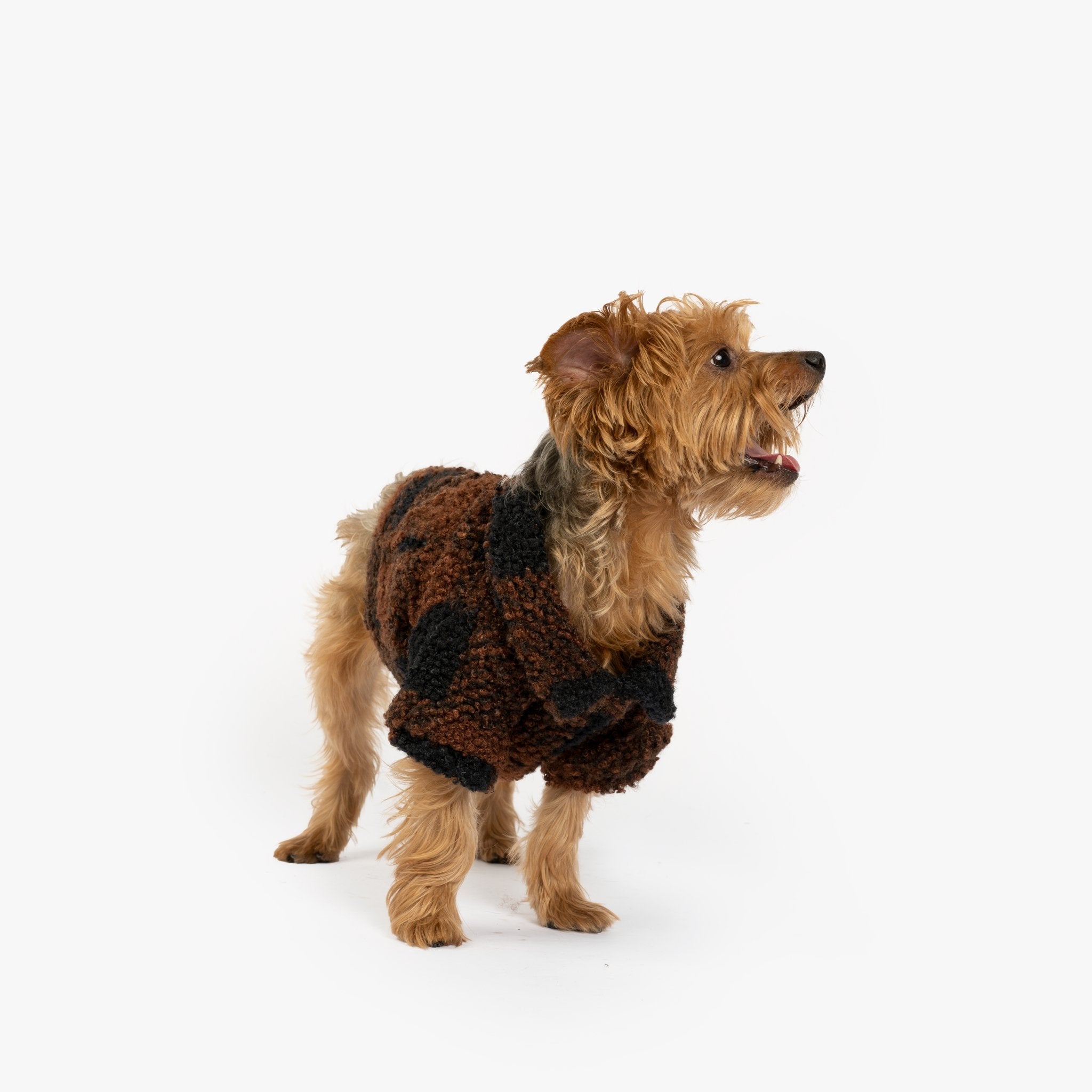 Humpfrey Dog Jacket - Silver Paw