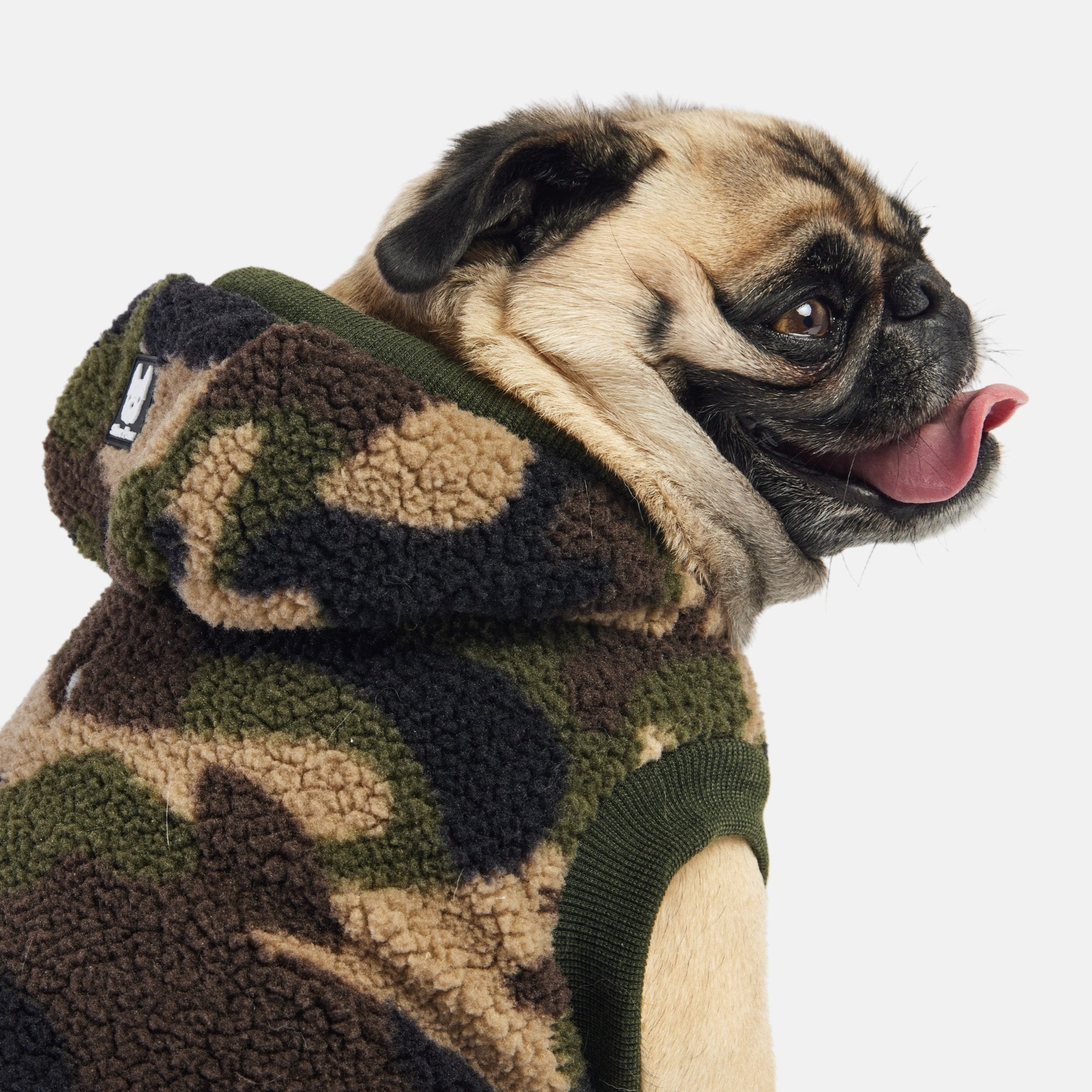 Dog on sale camouflage jacket