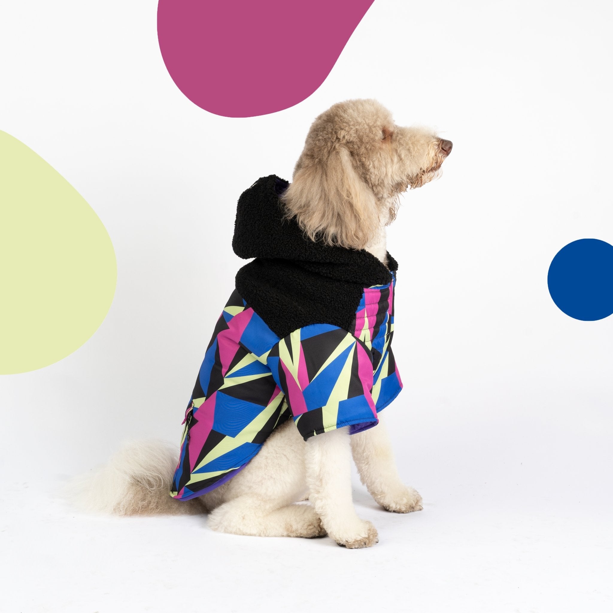 Ingo Dog Jacket - Silver Paw