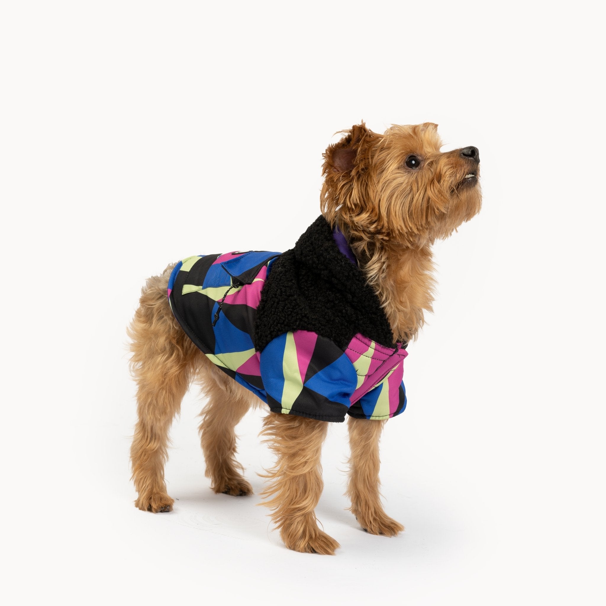 Ingo Dog Jacket - Silver Paw