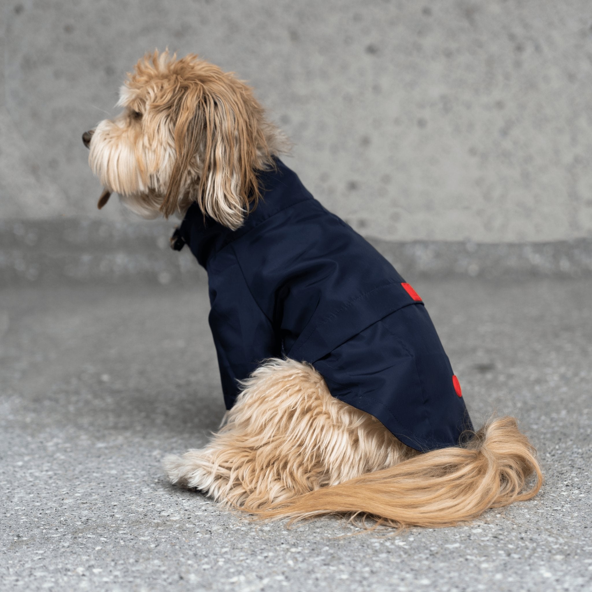Jean-Paul Dog Raincoat - Silver Paw