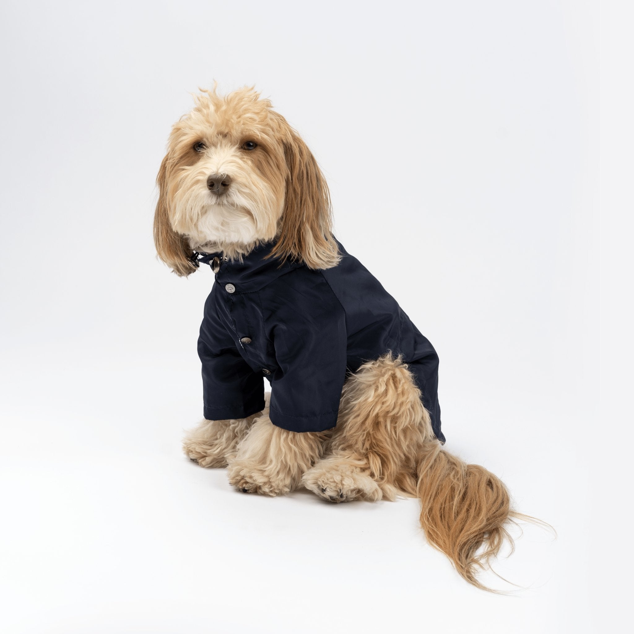Jean-Paul Dog Raincoat - Silver Paw