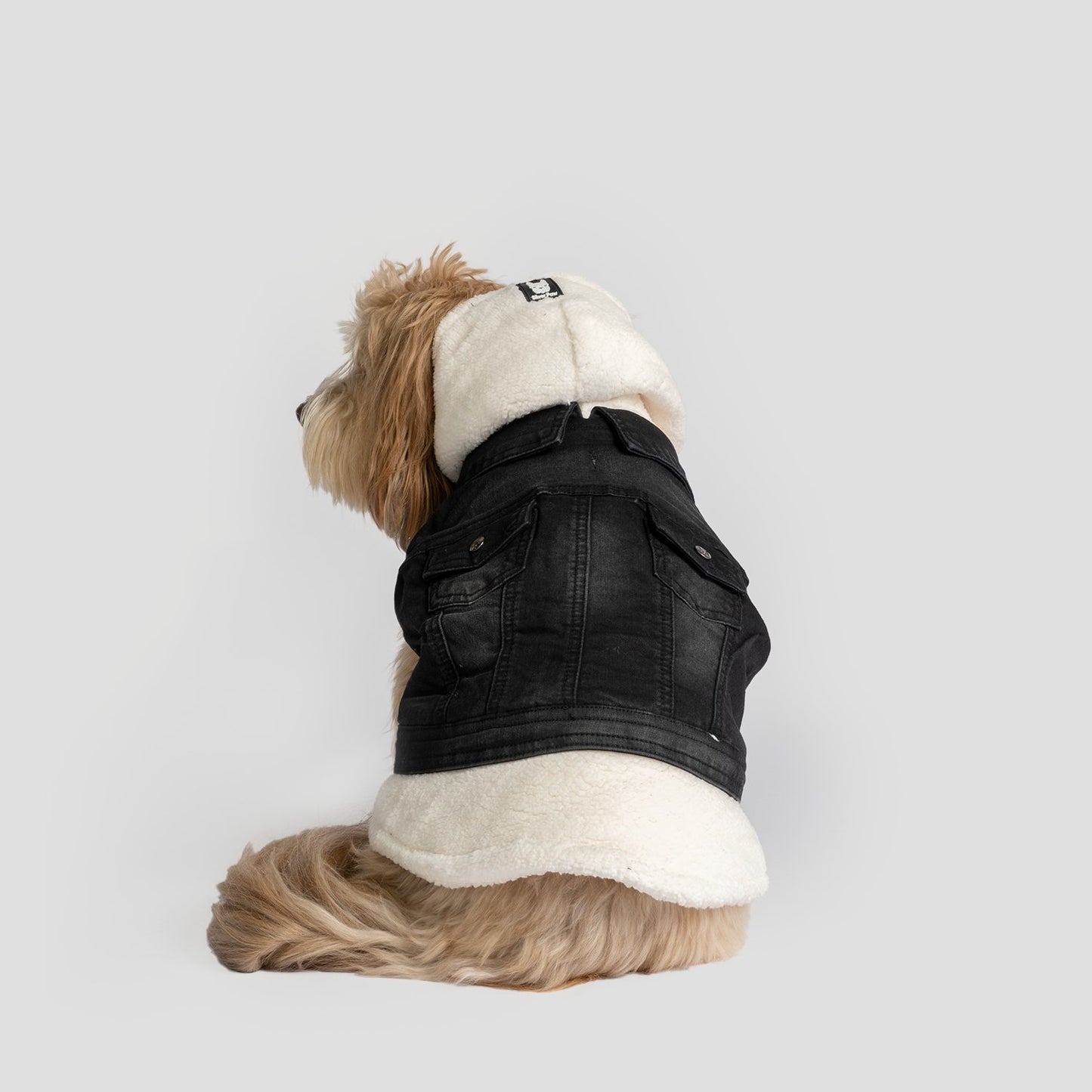 Justin - Denim Dog Jacket (Black) - Silver Paw