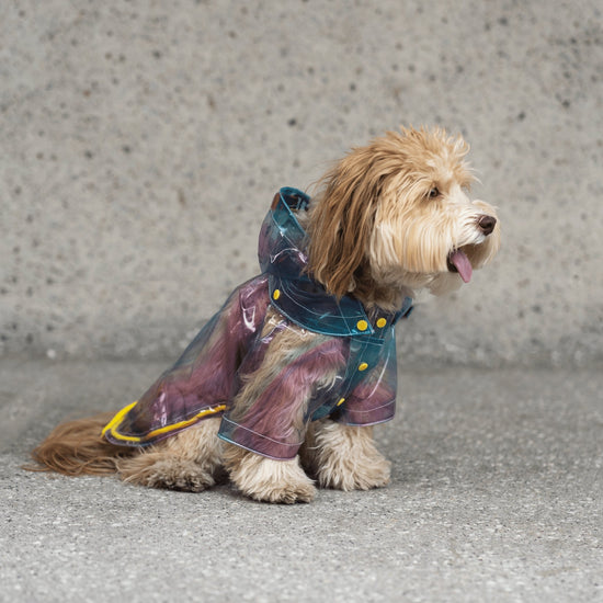 Kinney Dog Translucent Raincoat – Silver Paw