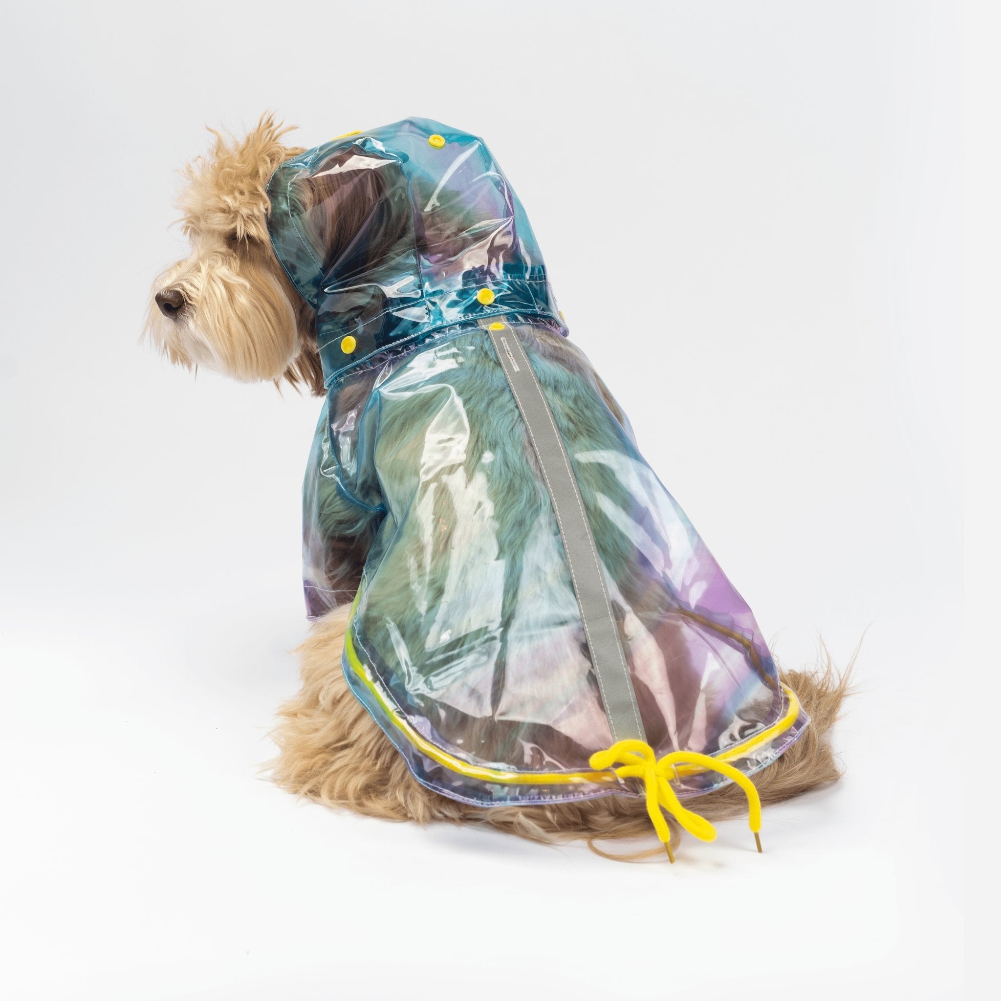 Kinney Dog Translusent Raincoat - Silver Paw