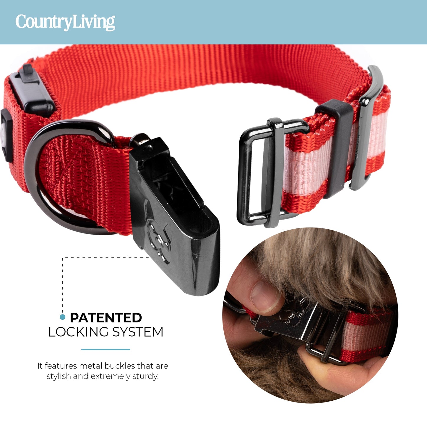 LED Dog Collar - Red - Silver Paw