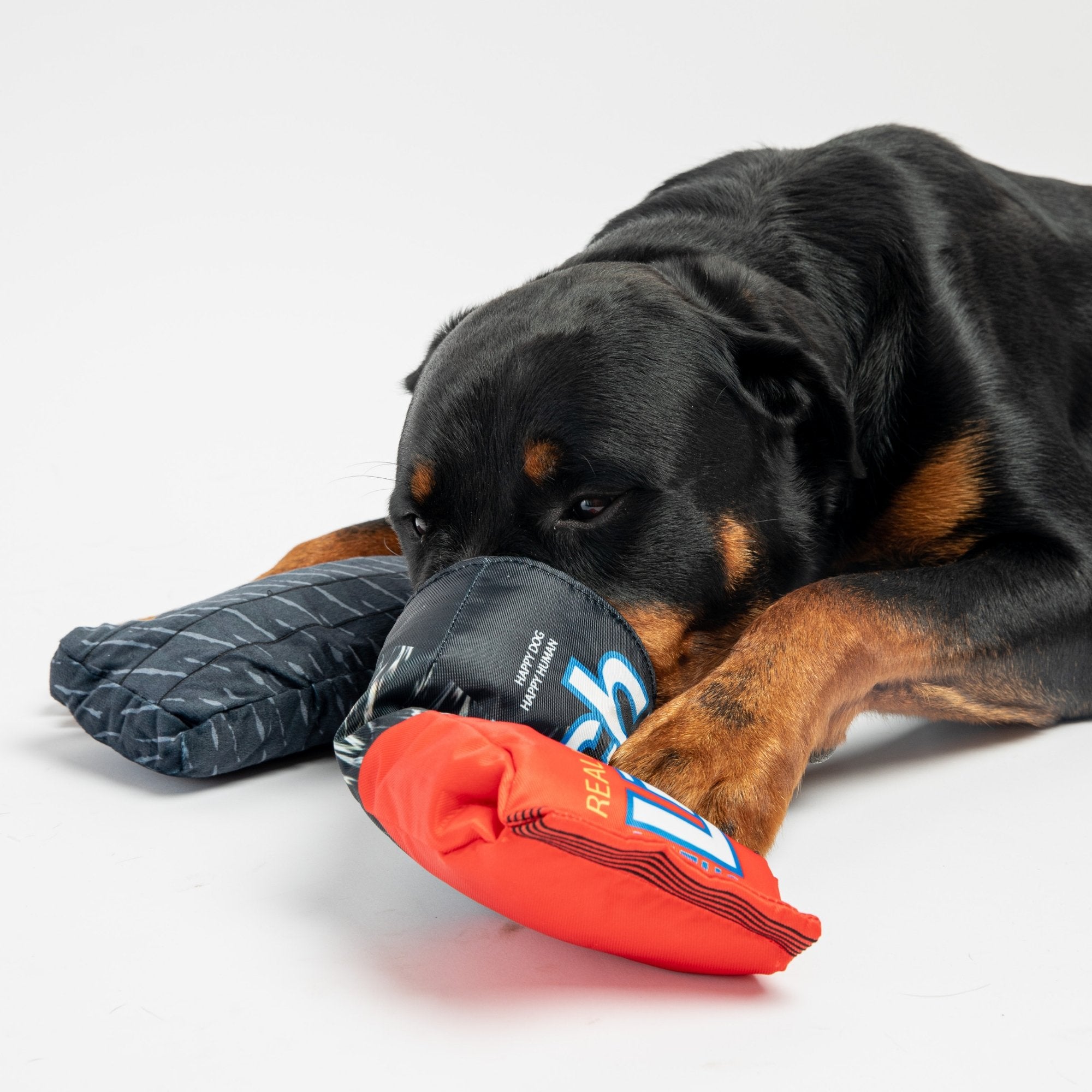 Lick-Rich- Dog Toy - Silver Paw