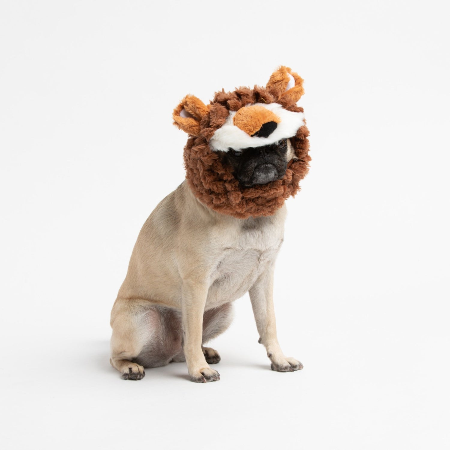 Lion Wig Costume - Silver Paw