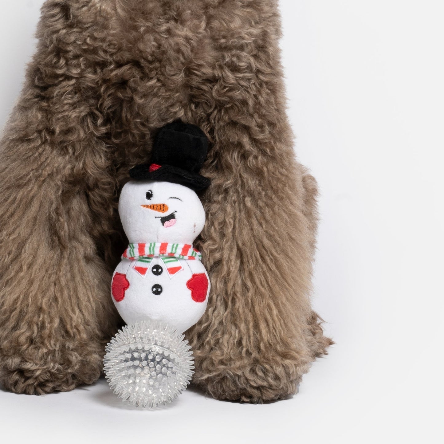 Long Plush Snowman with Spikey Rubber Ball Toy - Silver Paw