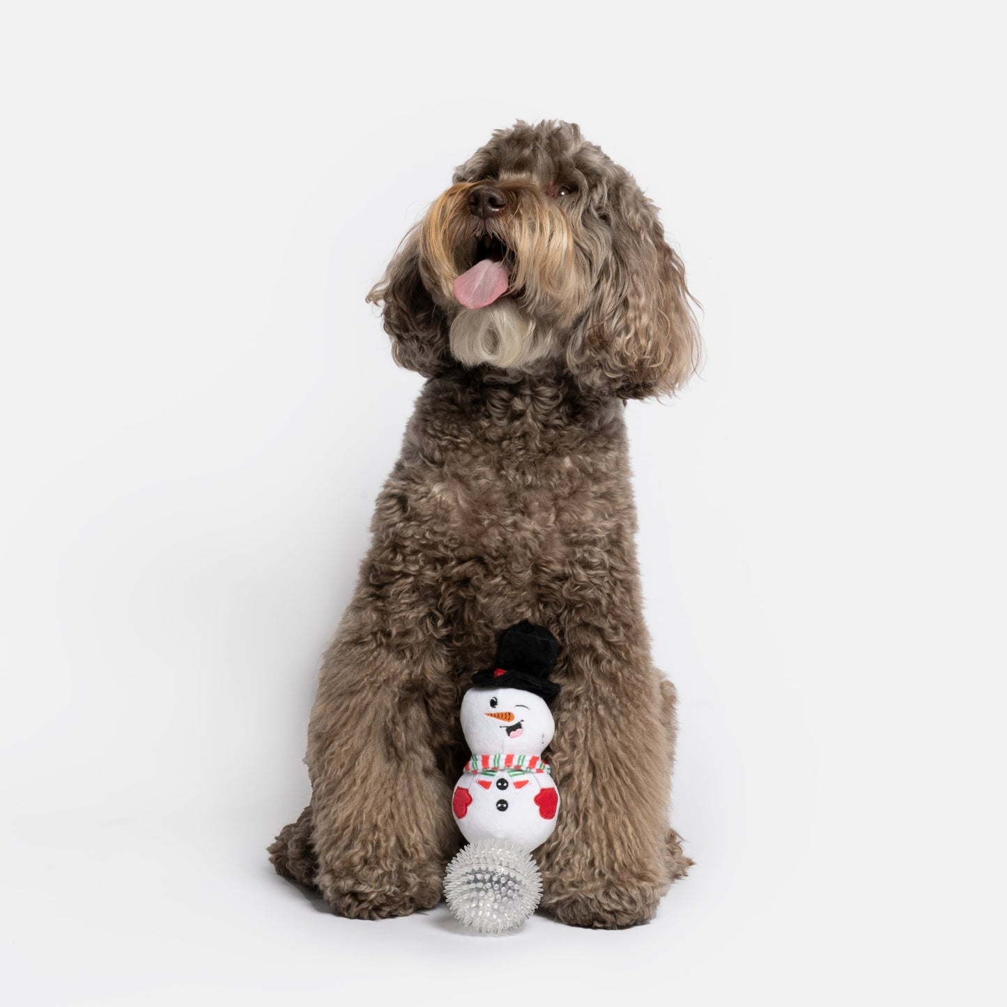 Long Plush Snowman with Spikey Rubber Ball Toy - Silver Paw