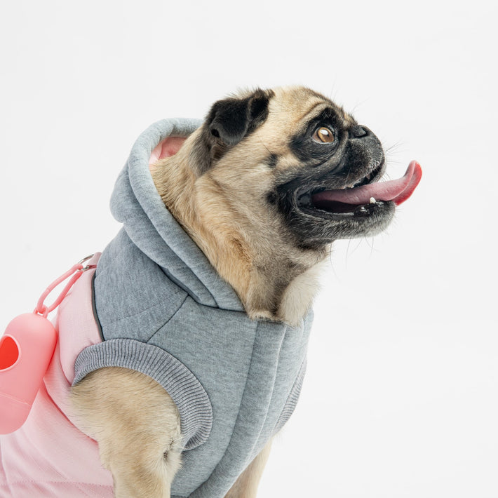 Lyanna Dog Jacket - Pink - Silver Paw