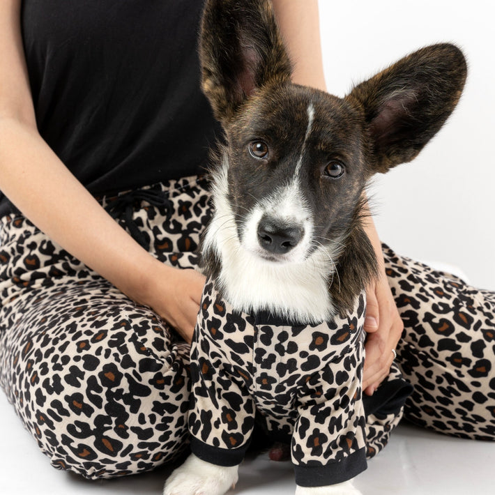 Matching Human & Dog Pajama - Leopard - Silver Paw