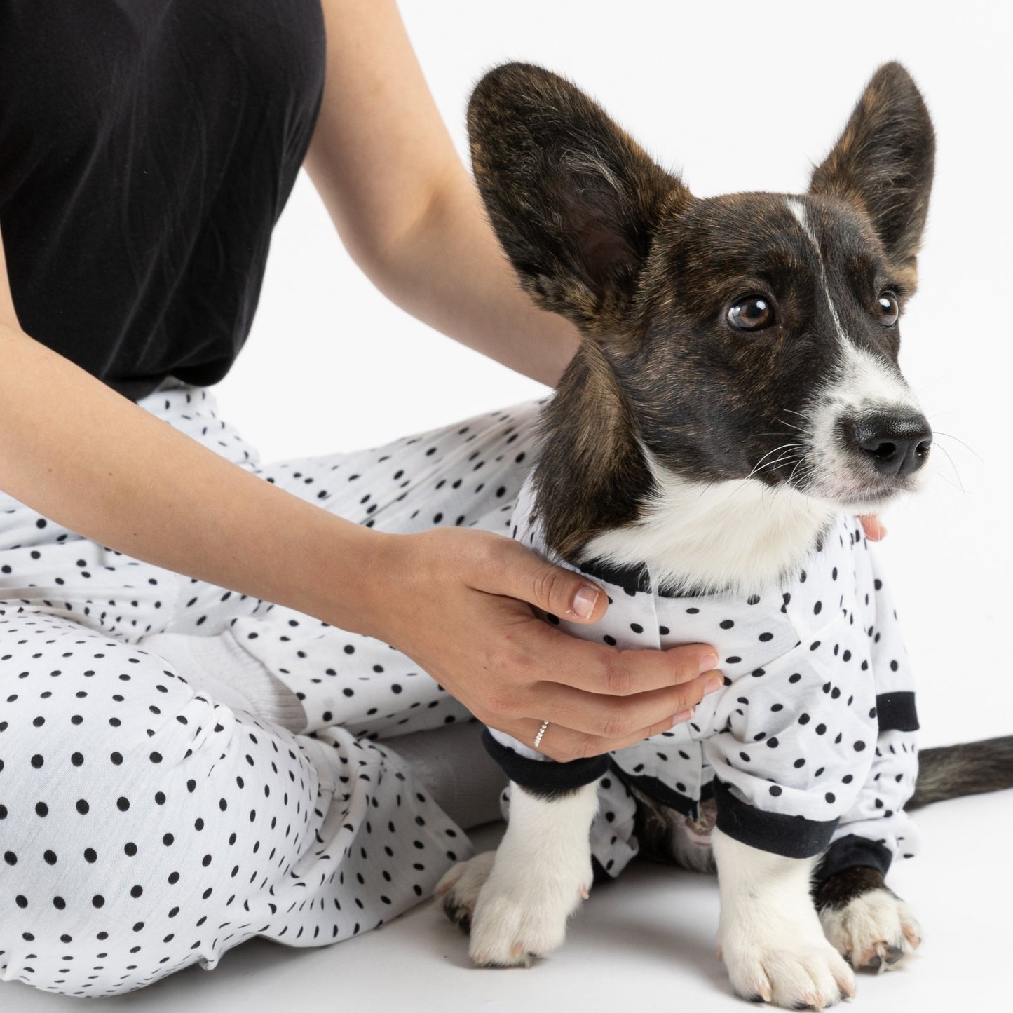Matching Human & Dog Pajama - Polka Dot - Silver Paw