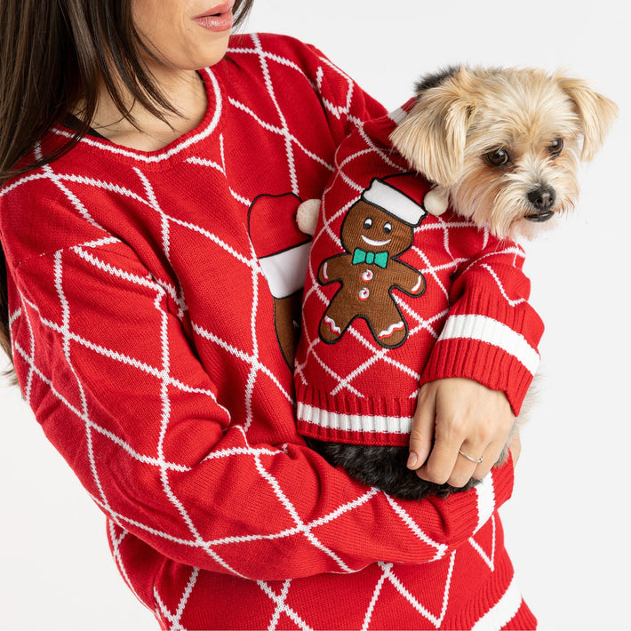 Matching Human & Dog Ugly Xmas Sweater - Gingerbread - Silver Paw