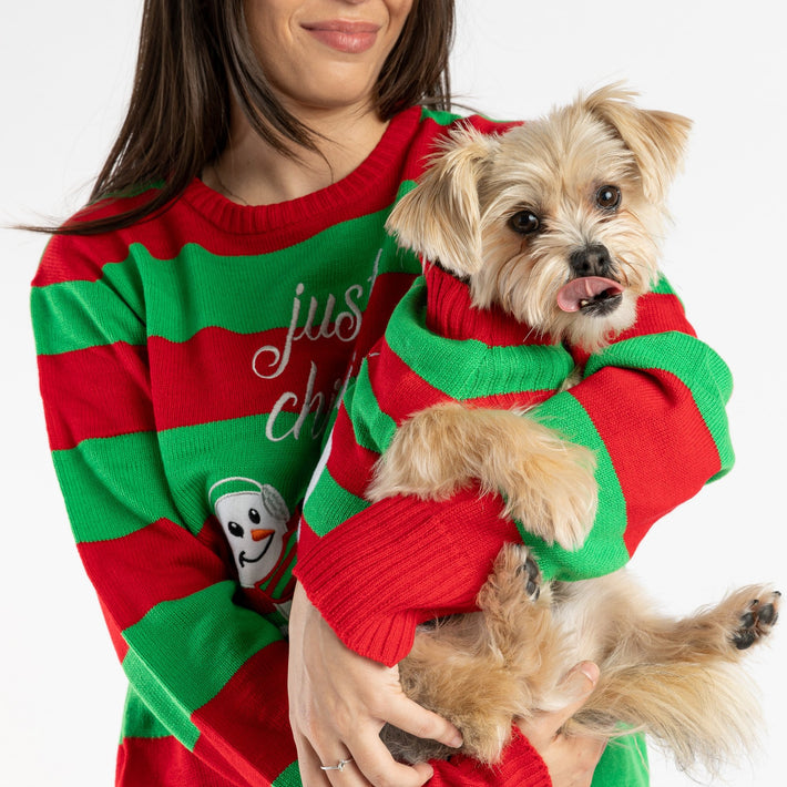 Matching Human & Dog Ugly Xmas Sweater - Just Chillin - Silver Paw