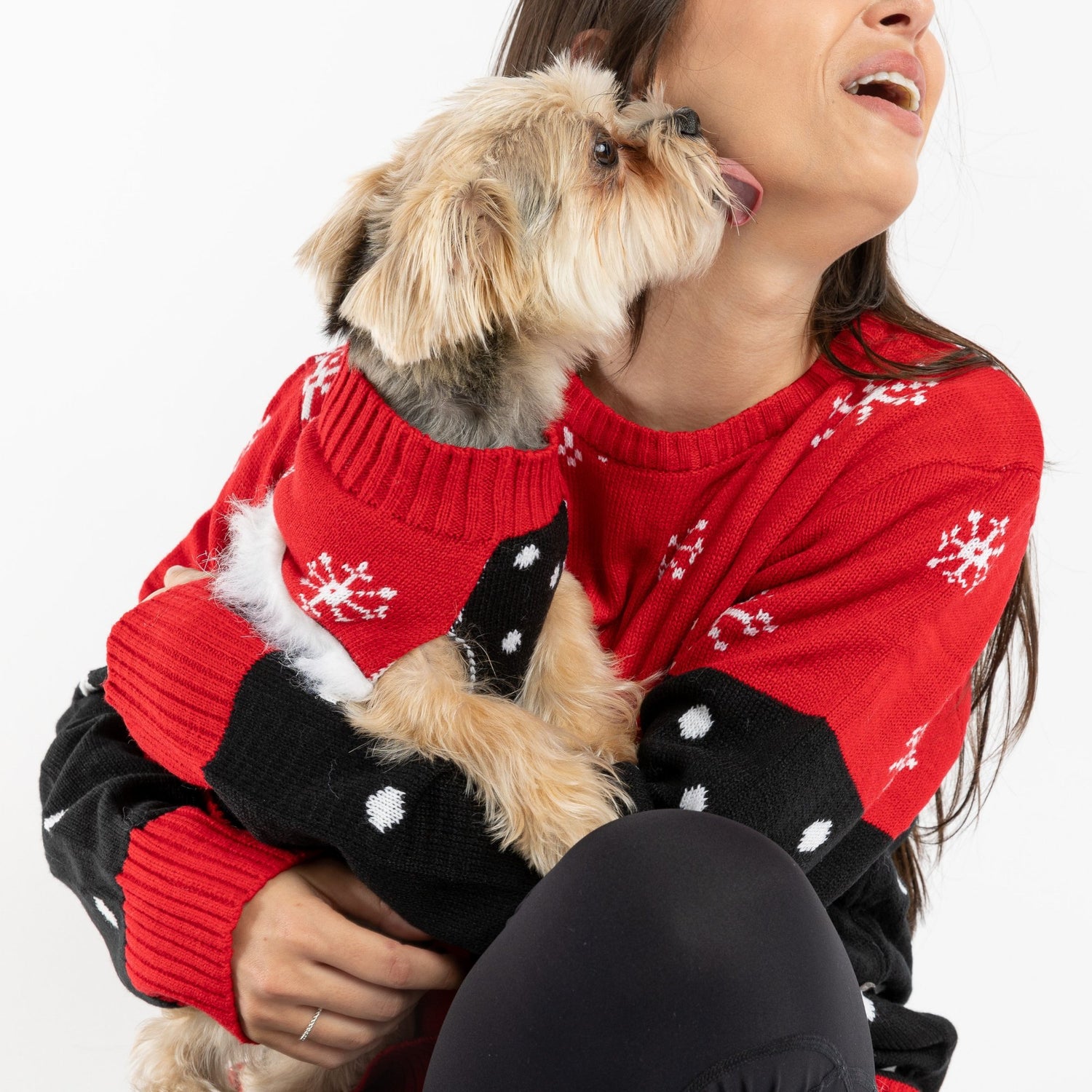 Matching Human & Dog Ugly Xmas Sweater - Stocking - Silver Paw