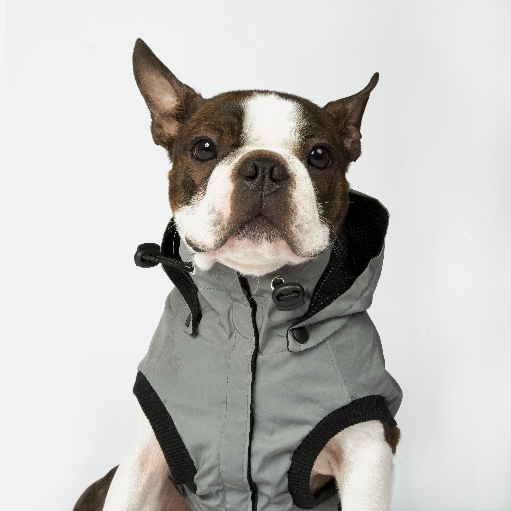 Max - Reflective Raincoat - Silver Paw