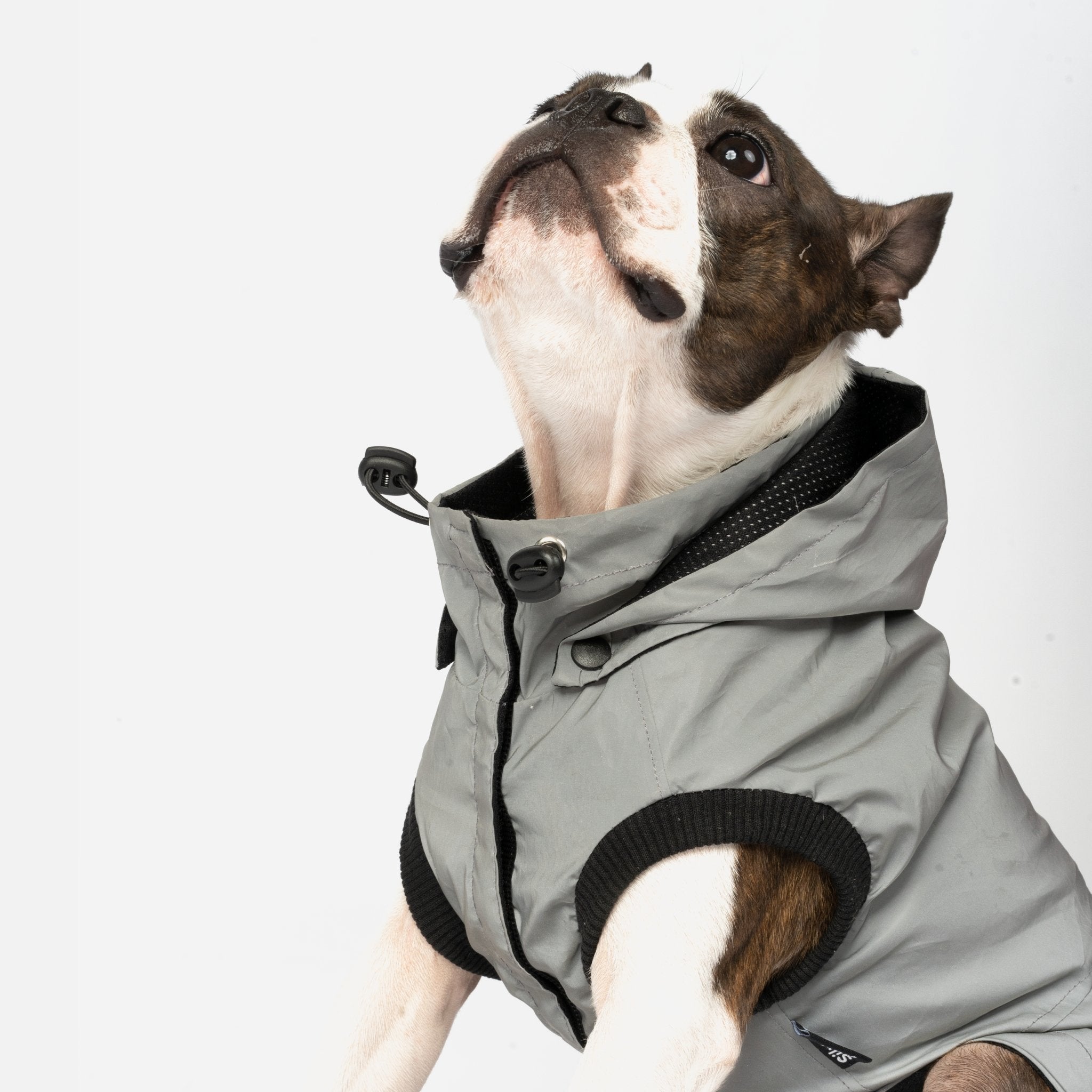 Max - Reflective Raincoat - Silver Paw
