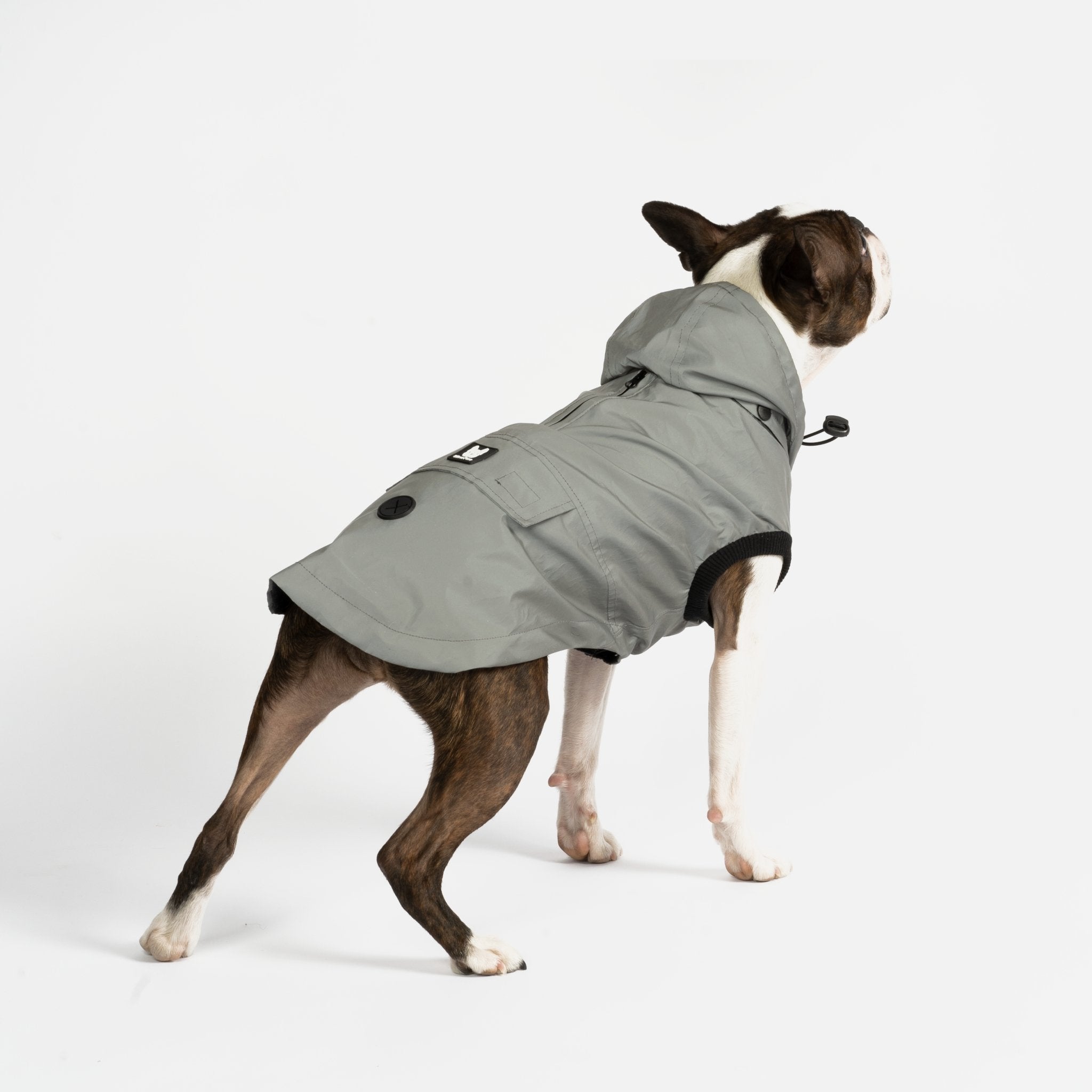 Max - Reflective Raincoat - Silver Paw