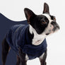 Mia Dog Sweater - Blue