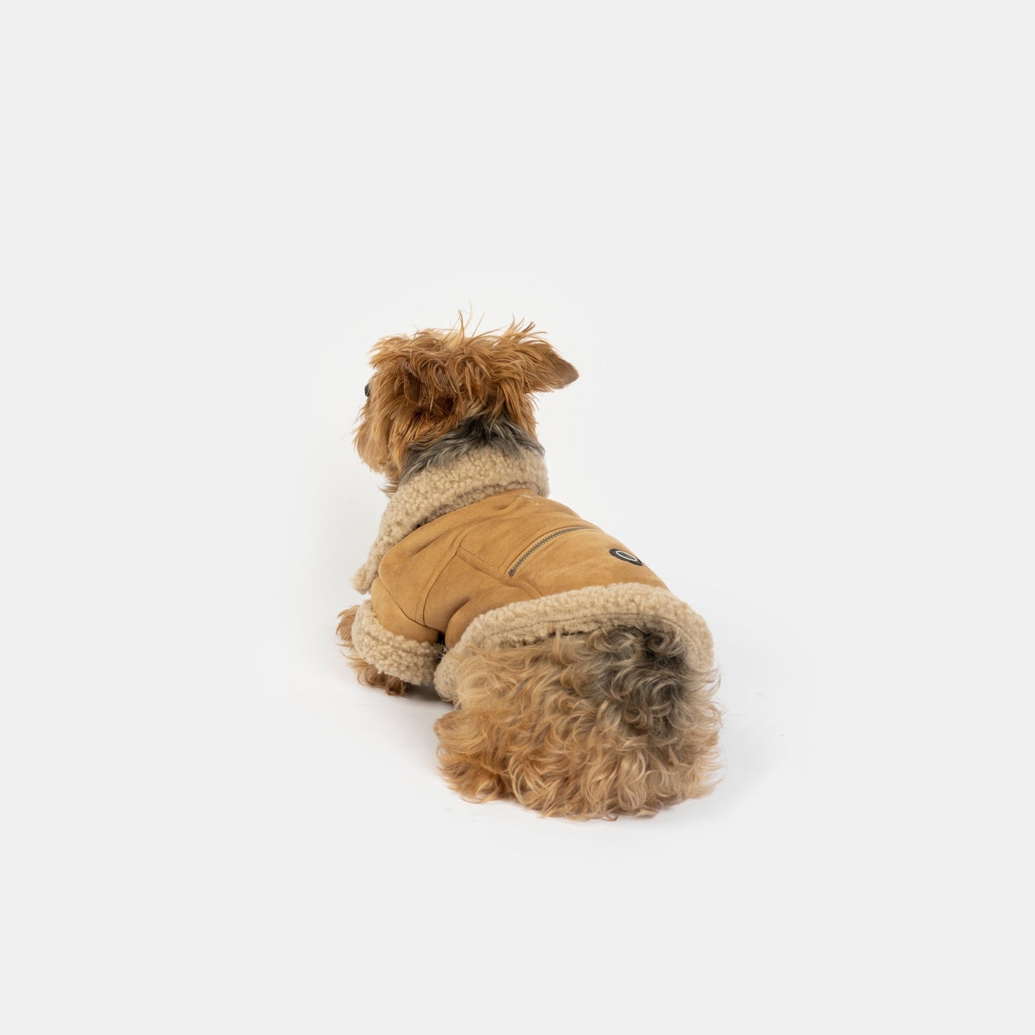 Millie Dog Jacket - Silver Paw