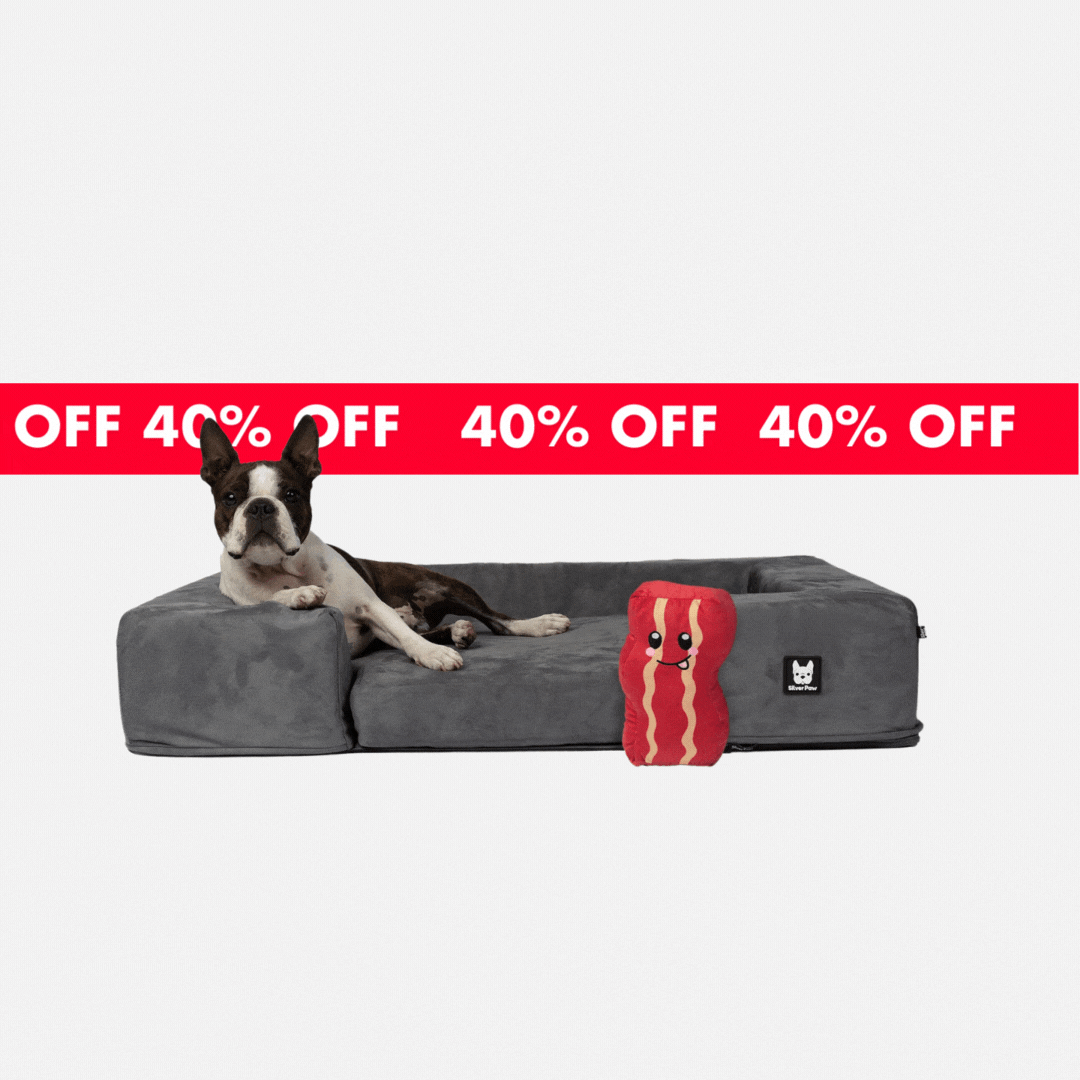 Milo nest dog 2024 bed