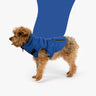 🚀 Monty Dog Jacket – Water-Resistant Jacket with Harness Attachment & Reflective Piping