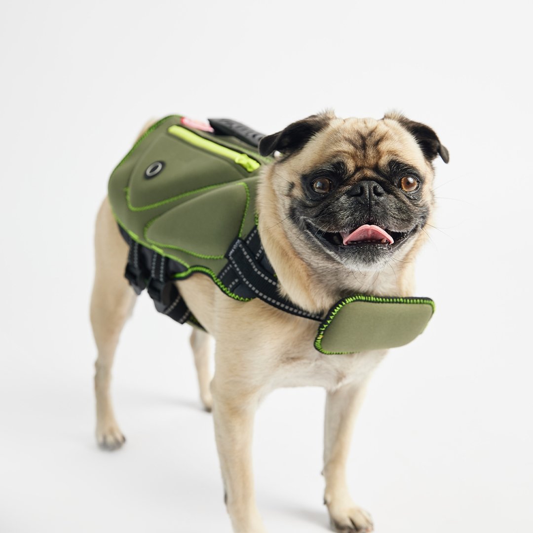 Neoprene Dog Life Jacket-Khaki - Silver Paw - 8372683 Canada Inc.