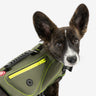 🐾🚤 Khaki Neoprene Dog Life Jacket – Safe & Stylish Buoyancy Vest