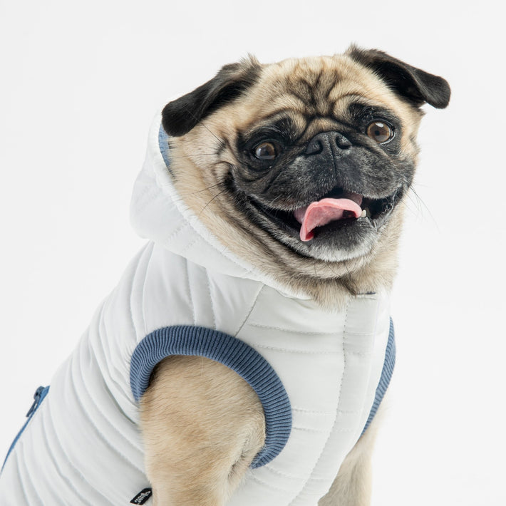 dog star clothes designer dog clothes dog sweater dog clothes for winter dog  clothes for small medium dogs pet items pet clothes - AliExpress