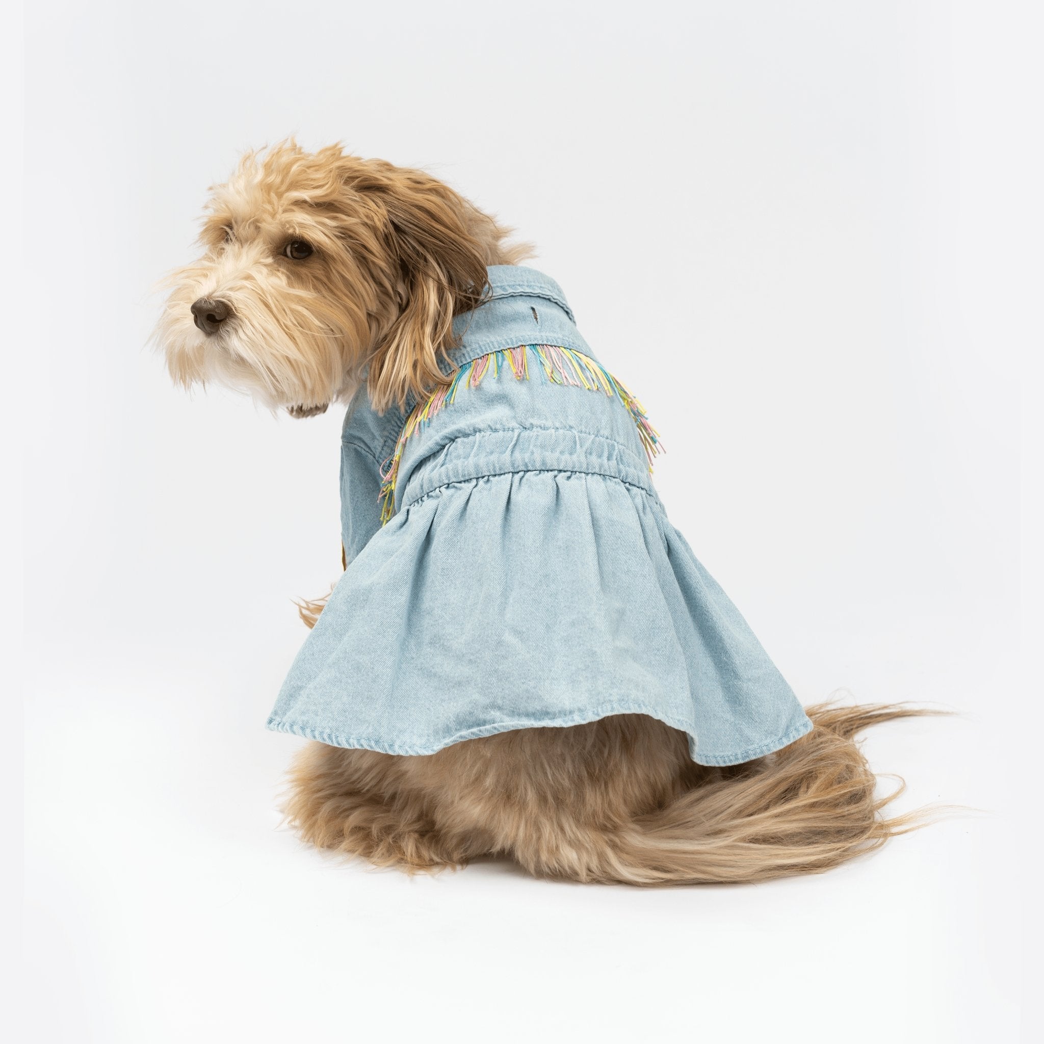 Ocean Denim Dog Dress  Chic Festival-Ready Outfit with Rainbow Fringe & Leash Opening