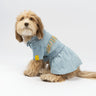 👗🐶 Ocean Denim Dog Dress – Chic Festival-Ready Outfit with Rainbow Fringe & Leash Opening