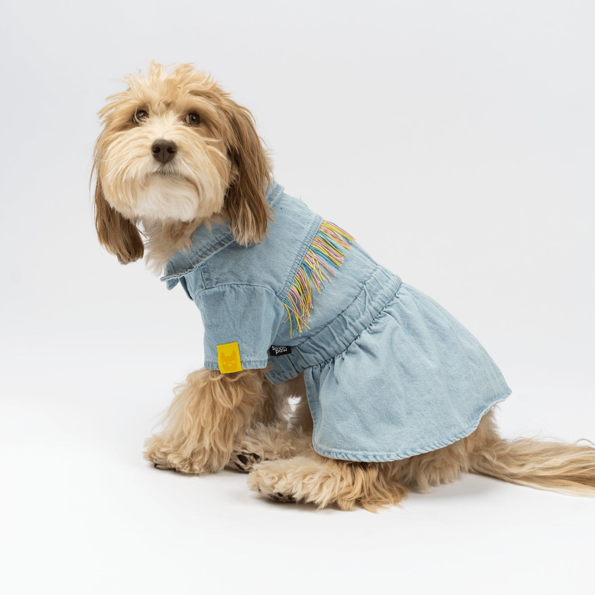 Ocean Denim Dog Dress  Chic Festival-Ready Outfit with Rainbow Fringe & Leash Opening